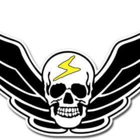 1 Skull Wall Window Car Vinyl Sticker