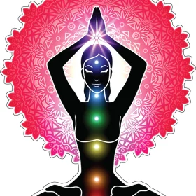 7 Chakres Namaste Meditation Yoga Girl Balance Mantra Aura Art vinyl sticker