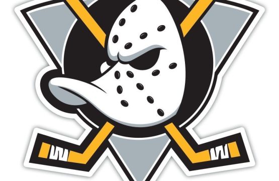 Anaheim-Ducks-1-NHL-Hockey-vinyl-sticker