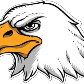 Angry Bald White Eagle Native North America National Power Freedom Strength Symbol vinyl sticker