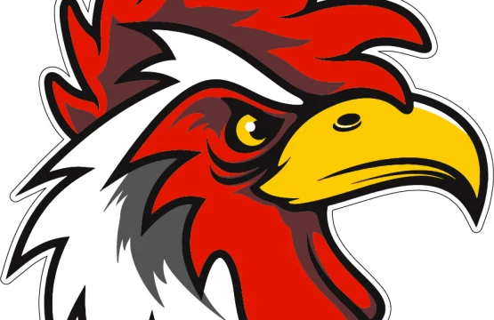 Angry-Rooster-1vinyl-sticker