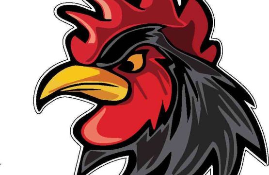 Angry-Rooster-Cartoon-2-vinyl-sticker