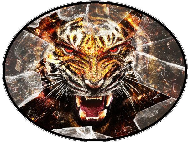 Angry-Tiger-Breaking-Through-Window-vinyl-sticker