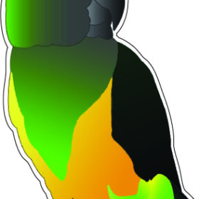 Ara-Parrot-Macaw-vinyl-sticker