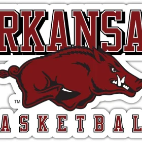 Arkansas-Razorbacks-6-NCAA-vinyl-sticker