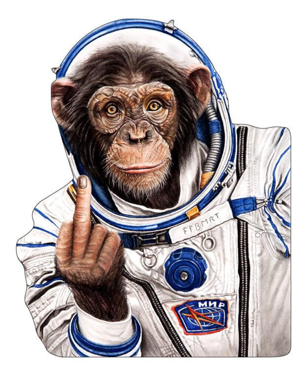 Wise Astro Chimp Caesar in Russian space costume - middle finger gesture vinyl sticker