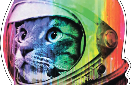 Astronaut-Cat-Alien-UFO-Extraterrestrial-Space