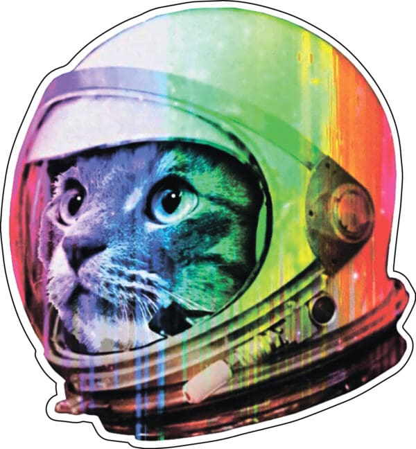 Astronaut-Cat-Alien-UFO-Extraterrestrial-Space