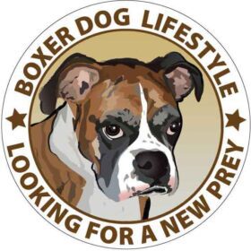 BOXER-DOG-LIFESTYLE-vinyl-sticker.
