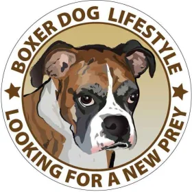 BOXER-DOG-LIFESTYLE-vinyl-sticker.
