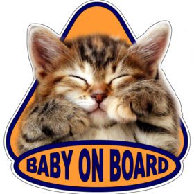 Baby-On-Board-Sweet-Kitty-vinyl-sticker
