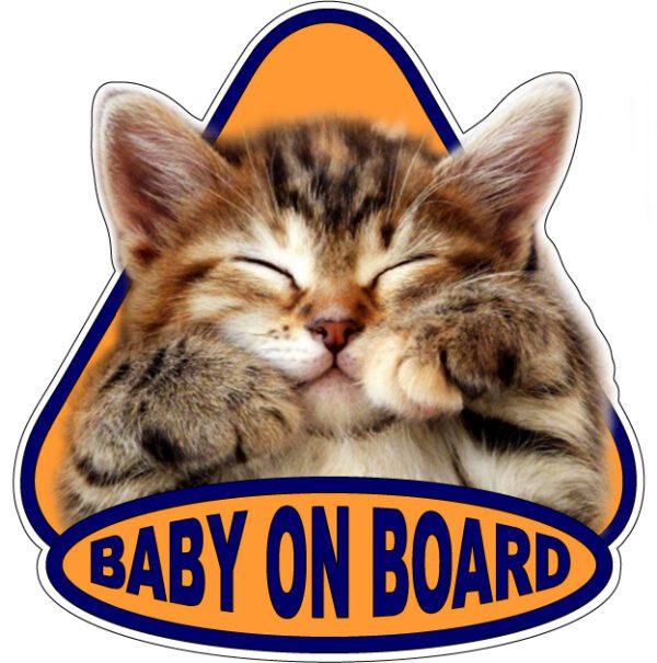 Baby-On-Board-Sweet-Kitty-vinyl-sticker