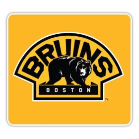 Boston-Bruins-NHL-Hockey-vinyl-sticker
