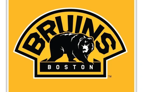 Boston-Bruins-NHL-Hockey-vinyl-sticker