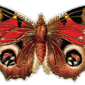 Butterfly-Gold-Beautiful-Insect-vinyl-sticker