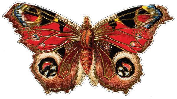 Butterfly-Gold-Beautiful-Insect-vinyl-sticker