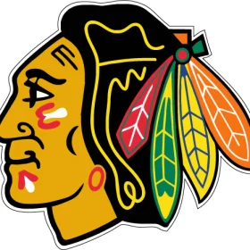 Chicago Blackhawks NHL Team Logo vinyl sticker