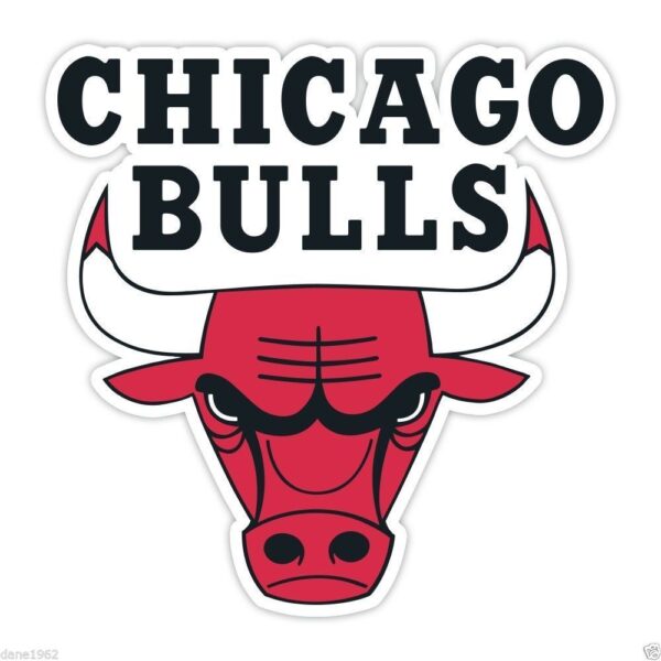 Chicago Bulls NBA Logo Basketball vinyl sticker