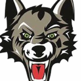 Chicago Wolves vinyl sticker printed vinyl decal