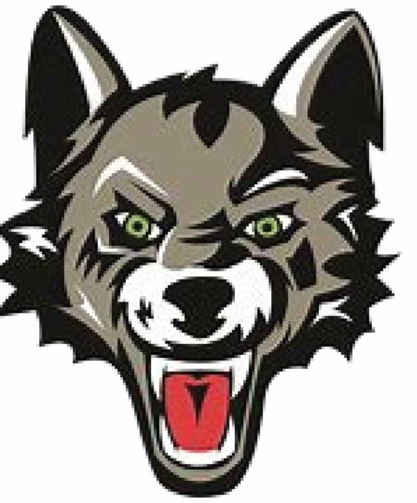 Chicago Wolves vinyl sticker printed vinyl decal