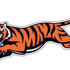 Cincinnati Bengals Full Tiger vinyl sticker