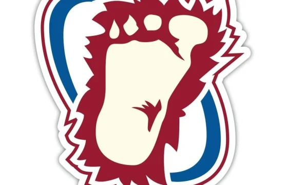 Colorado Avalanche NHL Hockey Foot Logo vinyl sticker