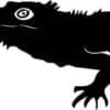 Curious Iguana Cut Out Vinyl Decal