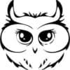 Cute Owl Big Eyes Cut Out Vinyl Decal