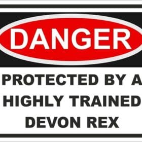 DANGER PROTECTED BY DEVON REX WARNING FUNNY STICKER.JPG