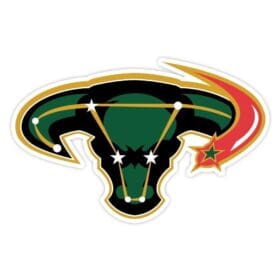 Dallas Stars 1 NHL Hockey