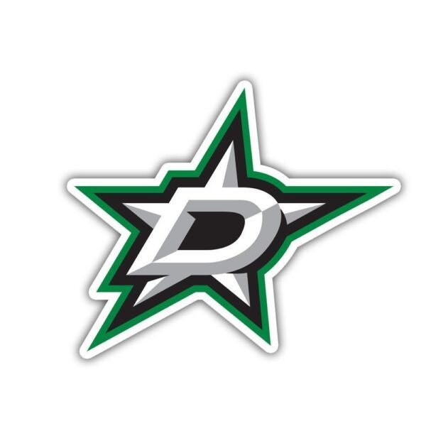 Dallas Stars NHL Hockey 2 vinyl sticker