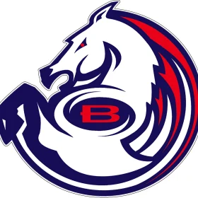 Denver Broncos 3vinyl sticker