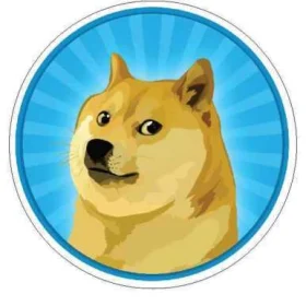 Doge.JPG