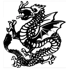 Dragon-Car-Window-Wall-Vinyl-Decal-Sticker-Printed-Mascot-Graphic