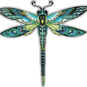 Psychodelic Dragonfly