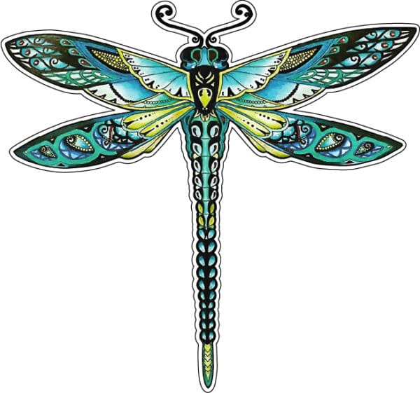 Psychodelic Dragonfly