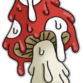 Drippy Trippy Melting Red Mushroom Psychedelic Drugs Stuff Art vinyl sticker
