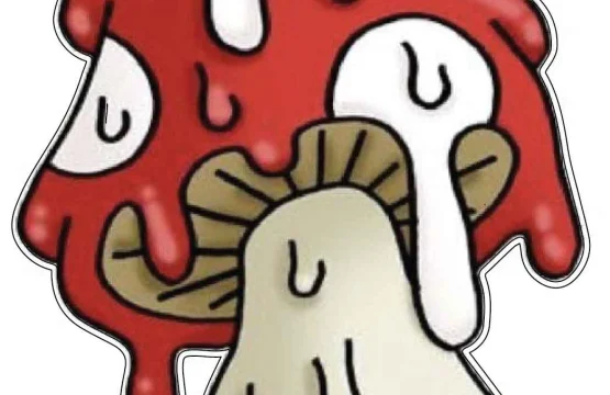 Drippy Trippy Melting Red Mushroom Psychedelic Drugs Stuff Art vinyl sticker