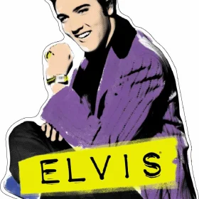 Elvis Presley King Of Rock n Roll vinyl sticker