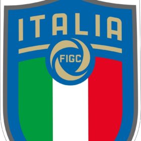 Italian Football Federation FIGC LOGO vinyl sticker