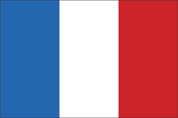 France Standard Flag Wall Window Car Vinyl Sticker