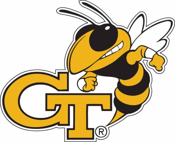 Georgia Tech Yellow Jackets 2 NCAA Logo vinyl sticker