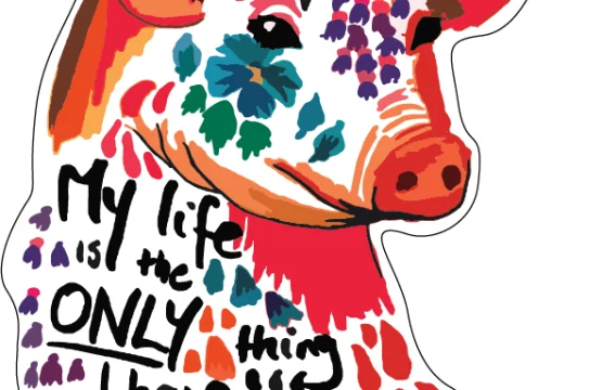 Go Vegan Pig Art My Life Is The Only Thing I Have Design Vinyl Sticker