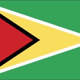 Guyana Standard Flag Wall Window Car Vinyl Sticker