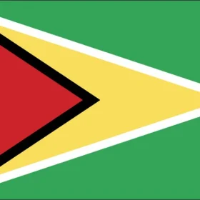 Guyana Standard Flag Wall Window Car Vinyl Sticker