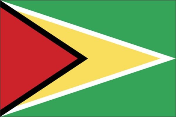 Guyana Standard Flag Wall Window Car Vinyl Sticker