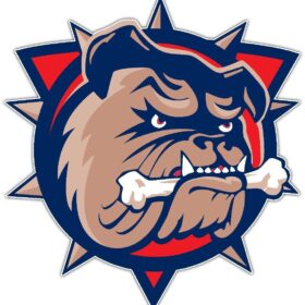 Hamilton Bulldogs AHL Hockey Vinyl sticker
