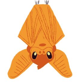 Happy Halloween Bat Vinyl sticker