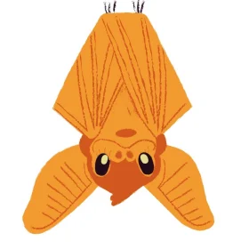 Happy Halloween Bat Vinyl sticker