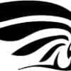 Hawk Bird Wing Profile Cut Out Vinyl Decal